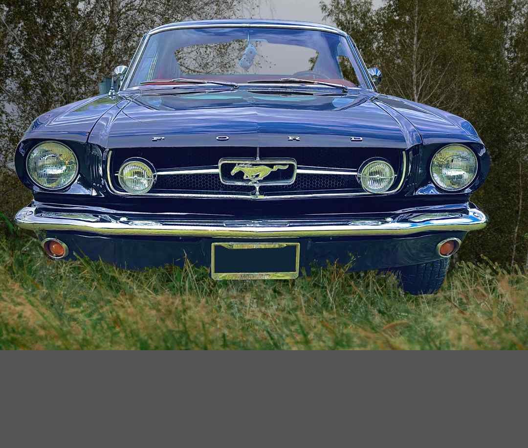 1965Mustangsmaller.jpg